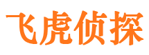 谯城市侦探公司